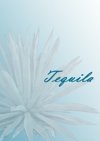 Tequila__庭萱